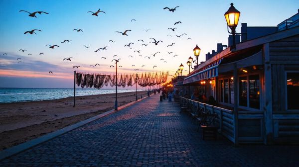 Top 5 établissements pour savourer les fruits de mer à Cabourg